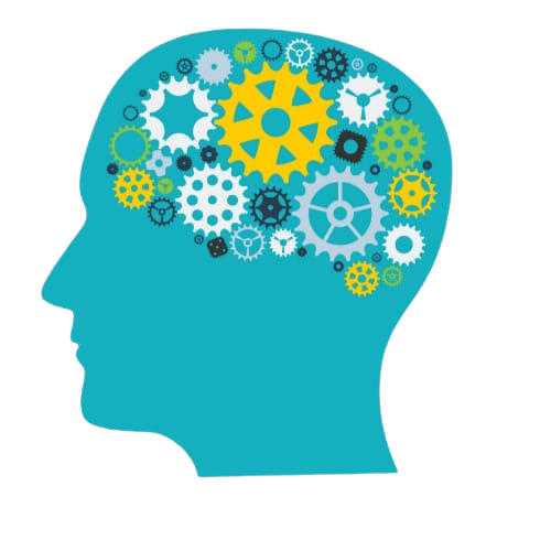 wealth vision the best Stock Market Training and Education Center in bilaspur